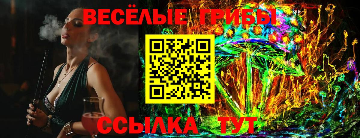 Псилоцибиновые грибы Cubensis  Вход с VPN  Псилоцибиновые грибы Cubensis  Благовещенск 