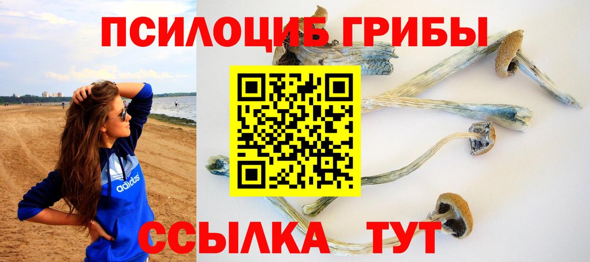 Галлюциногенные грибы прущие грибы Благовещенск