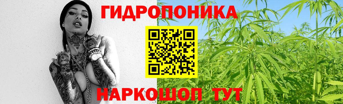 Бошки марихуана OG Kush  МАРИХУАНА план  Благовещенск  Вход с VPN 